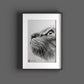 Tierportraits nach vorlage tierzeichnung schwarz weiss bleistift tierbilder gemalt skizze Sketchus Tierportrait zeichnen lassen haustier malen lassen nach fotovorlage tier malen lassen haustier portrait