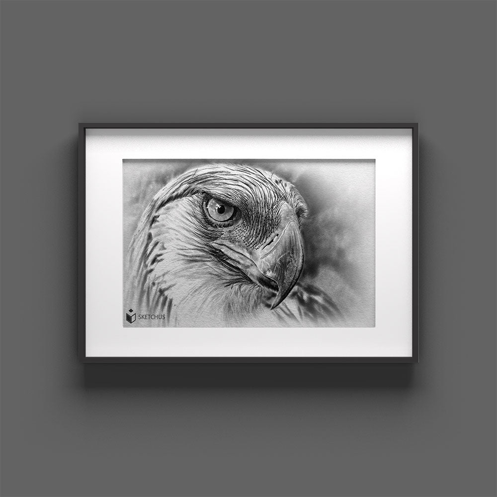 Vogel Tierportraits tierzeichnung bleistift Kohle malen tiere zeichnen lassen tierbilder gemalt skizze Sketchus Tierportrait zeichnen lassen haustier malen lassen nach fotovorlage tier malen lassen haustier Portrait